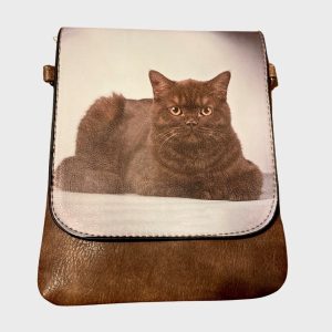 Fluffy Cat Shoulder Bag