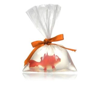 Goldfish Soap in a Bag – Tray/12