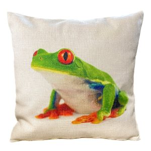 Eye Spy with My Little Eye Frog Cushion