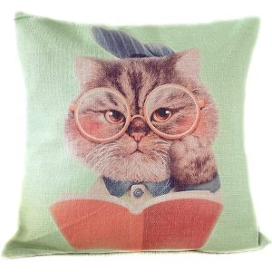 Reading Cat Cushion