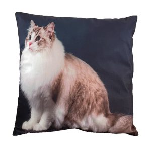 Fluffy Cat Velvet Cushion