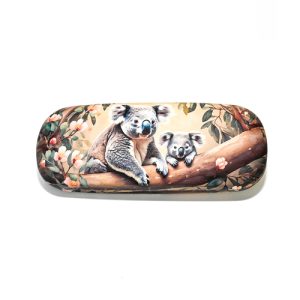 Glasses Cases
