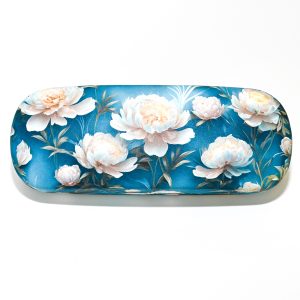 Glasses Cases